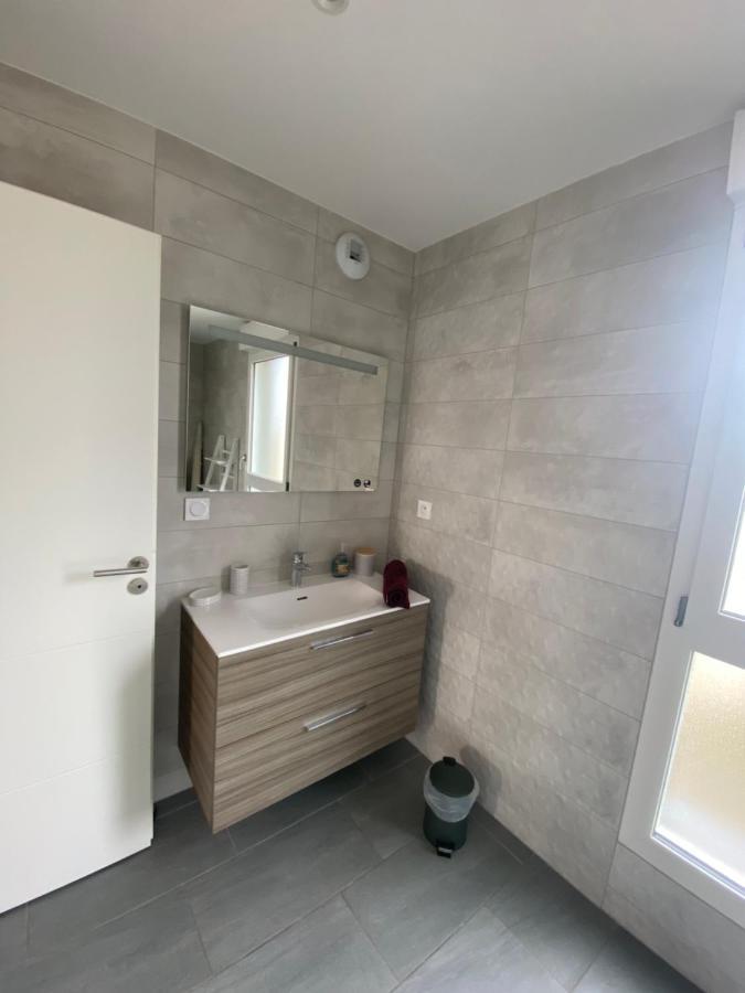 Appartement Orchidees Proche Centre Ville Кольмар Екстер'єр фото
